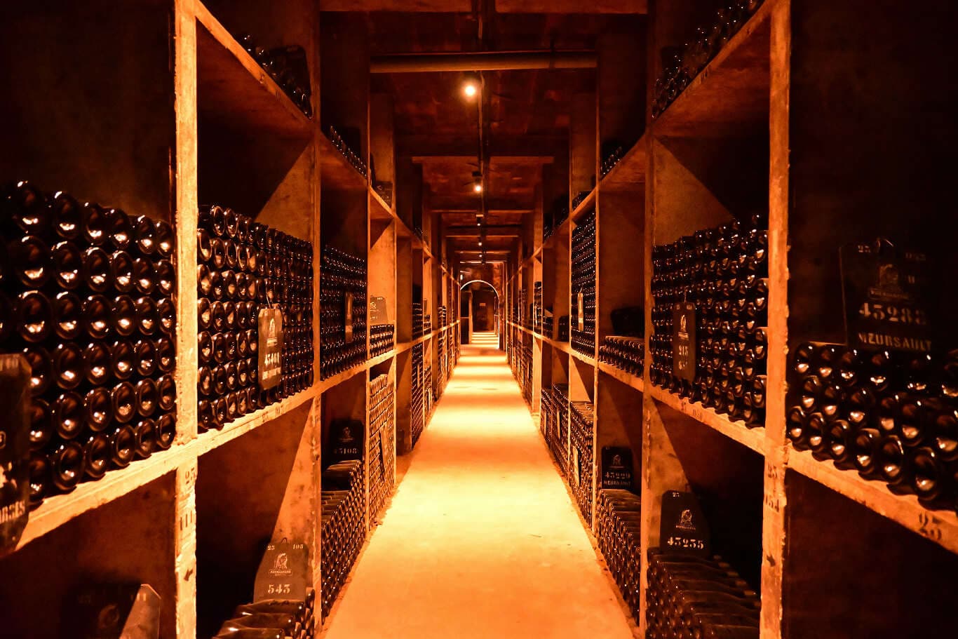 A long narrow room filled with lots of bottles. Photo by Amin Zabardast on Unsplash.